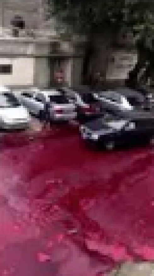 Buenos Aires, serbatoio di stoccaggio del mattatoio rovescia 500 litri di sangue animale per le strade della città - VIDEO