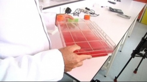 sangue artificiale sangue artificiale