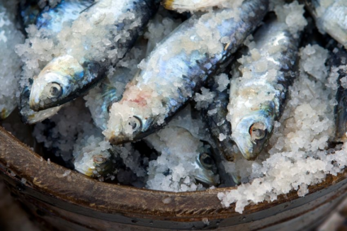 “Istamina oltre i limiti consentiti”, richiamato un lotto di sardine salate