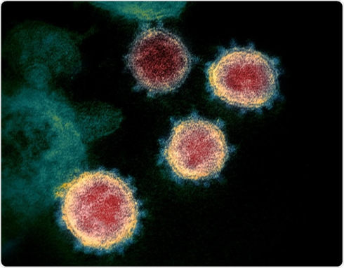 Il coronavirus sta mutando con un secondo ceppo identificato dagli scienziati