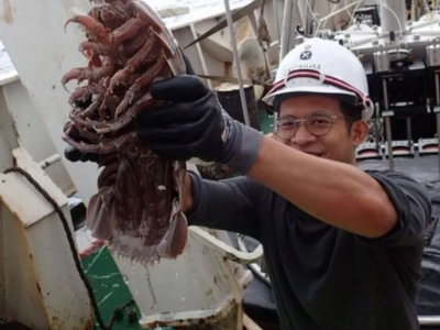 "Scarafaggio" gigantesco è stato scoperto sul fondo del mare