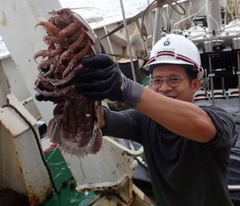 "Scarafaggio" gigantesco è stato scoperto sul fondo del mare