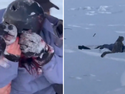 Selfie mania, ha rischiato la vita per la foto perfetta: leopardo delle nevi attacca una sciatrice