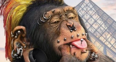 "Scimmia con una faccia coperta di piercing": nauseante campagna online lanciata da un partito dell'estrema destra francese. 