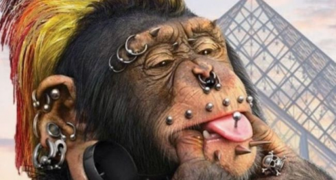 "Scimmia con una faccia coperta di piercing": nauseante campagna online lanciata da un partito dell'estrema destra francese.