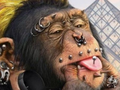 "Scimmia con una faccia coperta di piercing": nauseante campagna online lanciata da un partito dell'estrema destra francese. 