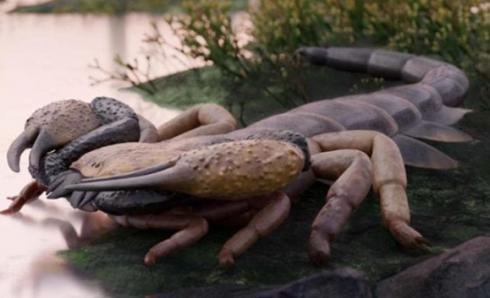 Scoperta sensazionale in Inghilterra: identificato il Praearcturus gigas lo scorpione più grande della storia della Terra