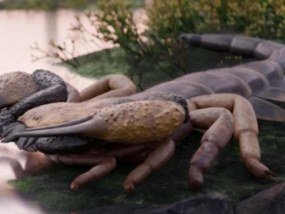 Scoperta sensazionale in Inghilterra: identificato il Praearcturus gigas lo scorpione pi&ugrave; grande della storia della Terra