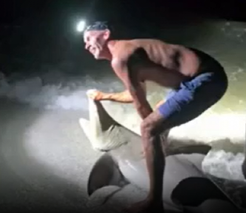Selfie mania: vuole fotografare uno squalo catturato a riva ma l'animale lo attacca e gli stacca un polpaccio – Il video
