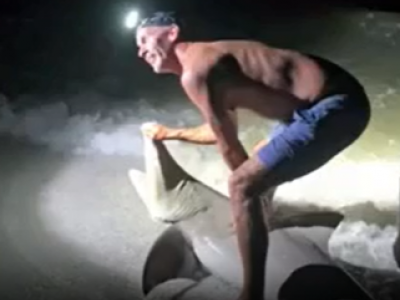 Selfie mania: vuole fotografare uno squalo catturato a riva ma l'animale lo attacca e gli stacca un polpaccio – Il video