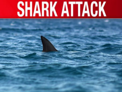 Identificata la vittima dell'attacco di uno squalo alle Bahamas: la donna era in viaggio di nozze, uccisa il giorno dopo il matrimonio a pochi metri dalla riva