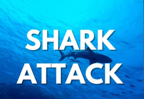 Giovane attaccata da uno squalo alle Bahamas