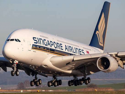 Un cane scoreggia e russa durante un volo di 13 ore accanto a una coppia neozelandese a loro. La compagnia aerea Singapore Airlines li risarcisce con 1.300 euro