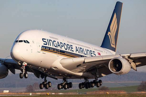 Un cane scoreggia e russa durante un volo di 13 ore accanto a una coppia neozelandese a loro. La compagnia aerea Singapore Airlines li risarcisce con 1.300 euro