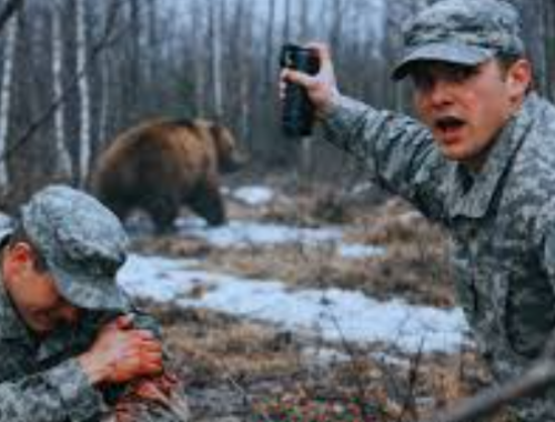 Soldati dell'esercito statunitense feriti in un attacco di orso