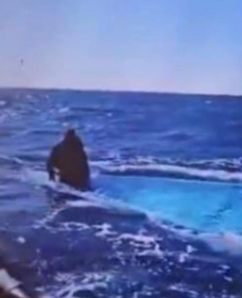 Migranti, naufragio la sera di Natale sulla rotta della disperazione: 116 migranti annegati, un solo sopravvissuto