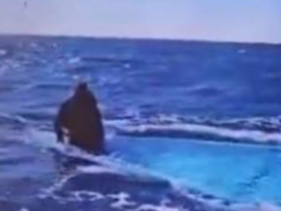 Migranti, naufragio la sera di Natale sulla rotta della disperazione: 116 migranti annegati, un solo sopravvissuto