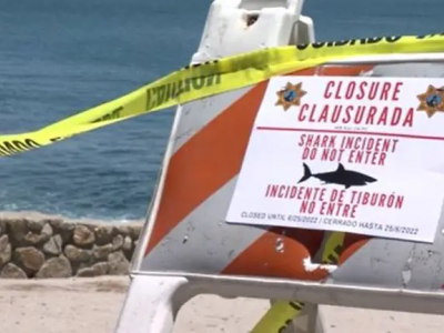 Usa, squalo attacca una nuotatrice: la donna &egrave; ancora dispersa