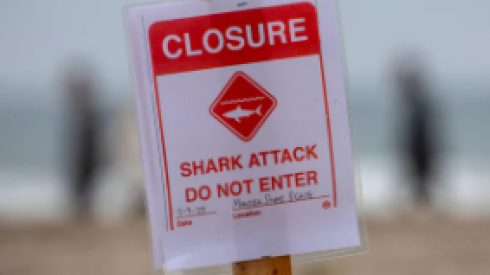 Surfista californiano sopravvive all'attacco di uno squalo nel fine settimana al largo di Montara State Beach