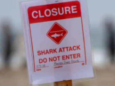 Surfista californiano sopravvive all'attacco di uno squalo nel fine settimana al largo di Montara State Beach