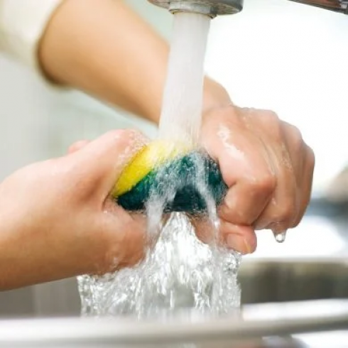 Igiene e salute: spugne da cucina, più sporchi solo i  water