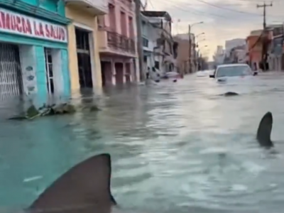 Tempesta in Messico, avvistati squali che nuotano tra le strade allagate di Tampico