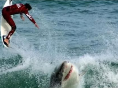Un surfista sopravvive all'attacco di uno squalo su una spiaggia della Florida, soprannominata "la capitale mondiale dei morsi di squalo"