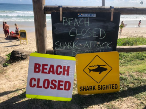 Squalo attacca surfista, spiagge chiuse in Australia