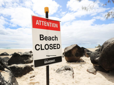 Australia, squalo attacca un bagnante al largo di una spiaggia popolare