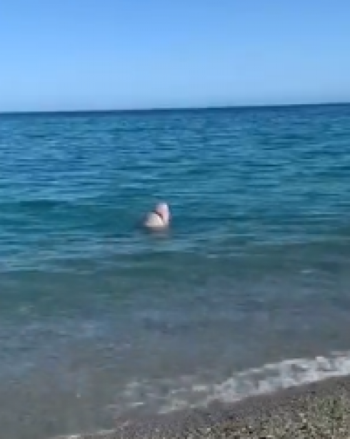 Lo squalo a riva nel mare di Soverato in Calabria - VIDEO