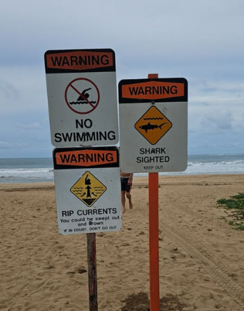 Hawaii, squalo attacca un surfista nella baia di Hanalei a Kauai, provocando la chiusura delle spiagge