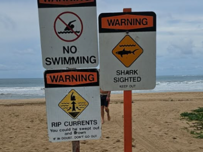 Hawaii, squalo attacca un surfista nella baia di Hanalei a Kauai, provocando la chiusura delle spiagge