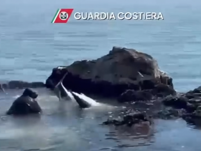 Squalo verdesca di oltre 2 metri in difficolt&agrave; a pochi metri dalla riva salvato dagli operatori della Capitaneria di Porto