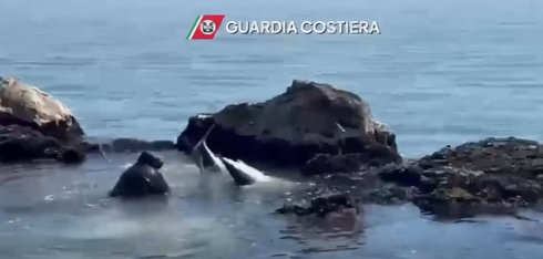 Squalo verdesca di oltre 2 metri in difficolt&agrave; a pochi metri dalla riva salvato dagli operatori della Capitaneria di Porto