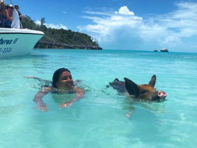 Bahamas. Studentessa 21enne divorata viva da tre squali sotto gli occhi dei genitori mentre fa snorkeling con i suoi cinghialini