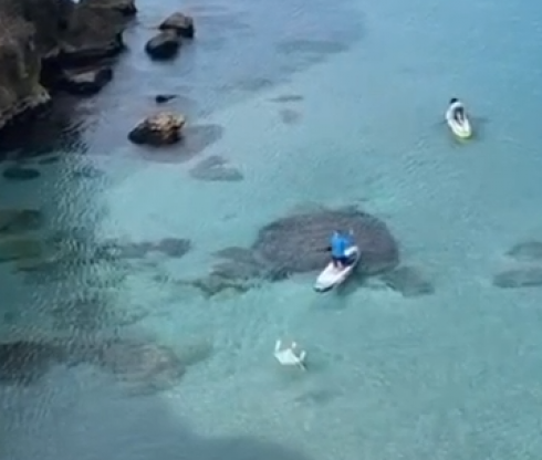 Pesca crudele, salvata piccola tartaruga da un amo legata a un tavolino di plastica galleggiante a Torre Dell’Orso