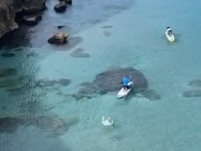 Pesca crudele, salvata piccola tartaruga da un amo legata a un tavolino di plastica galleggiante a Torre Dell’Orso