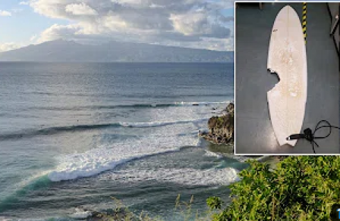 Morso da uno squalo, surfista di 56 anni muore per le ferite a Maui.
