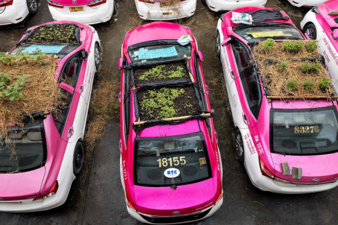 Thailandia: piccoli mini orti spuntano sui tetti di taxi.