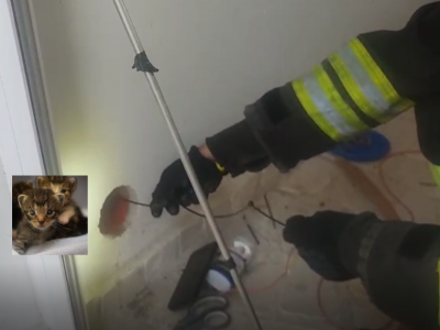 Due gattini di pochi giorni intrappolati nella presa d&rsquo;aria muro e salvati dai Vigili del Fuoco e dai proprietari della casa