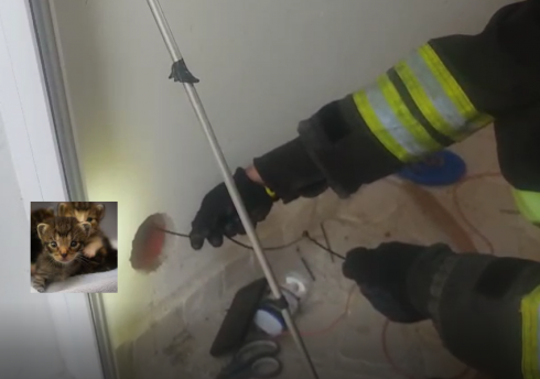 Due gattini di pochi giorni intrappolati nella presa d’aria muro e salvati dai Vigili del Fuoco e dai proprietari della casa