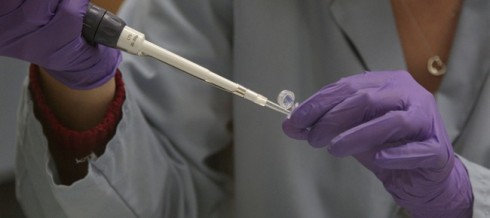 test DNA test DNA
