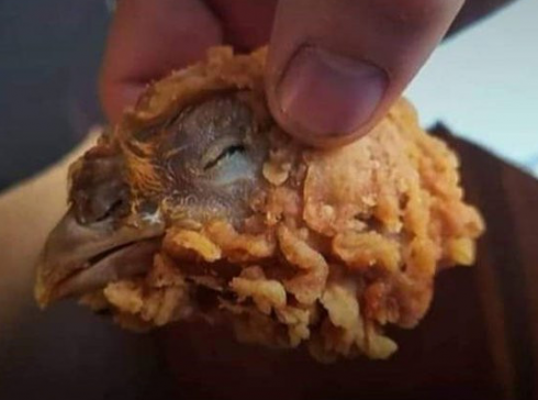 Scopre una testa di pollo nella sua scatola di crocchette