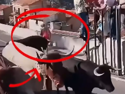 Spagna: toro attacca donna di 64 anni durante una corrida e la uccide