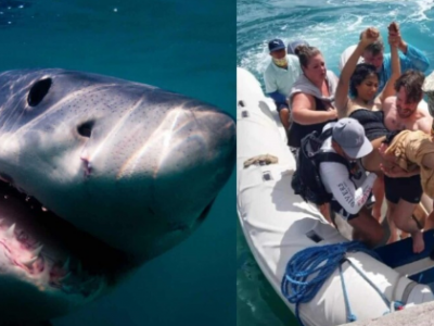 Una turista australiana &egrave; stata attaccata da uno squalo alle Galapagos 