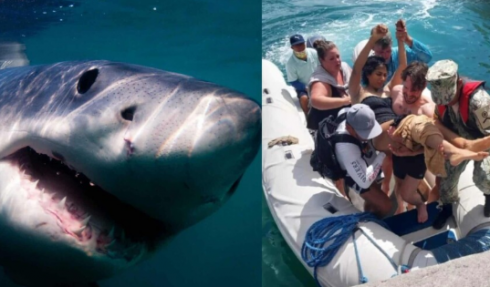 Una turista australiana è stata attaccata da uno squalo alle Galapagos