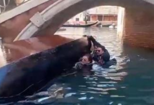 Venezia, turisti sbilanciano la gondola per un selfie e si rovesciano, il video diventa virale sui social