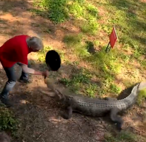 Uomo respinge attacco di coccodrillo con una padella – IL VIDEO