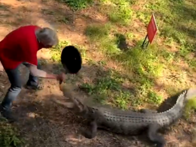 Uomo respinge attacco di coccodrillo con una padella – IL VIDEO