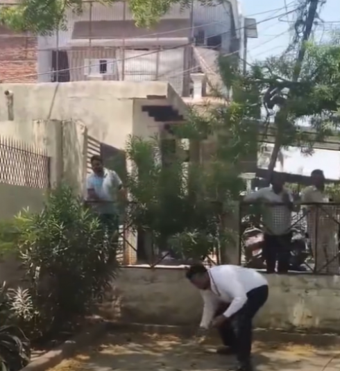 In India, una scimmia ruba una borsa contenente 2.000 sterline e fa piovere soldi dall’alto di un albero